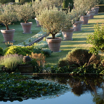 alexandre_lafourcade_architecture _confines_jardin_mas_alpilles_provence_002