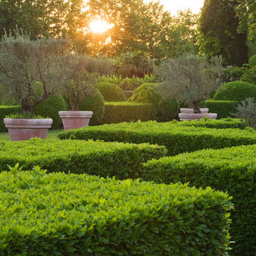 alexandre_lafourcade_architecture _confines_jardin_mas_alpilles_provence_012