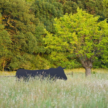 alexandre_lafourcade_architecture _confines_jardin_mas_alpilles_provence_014