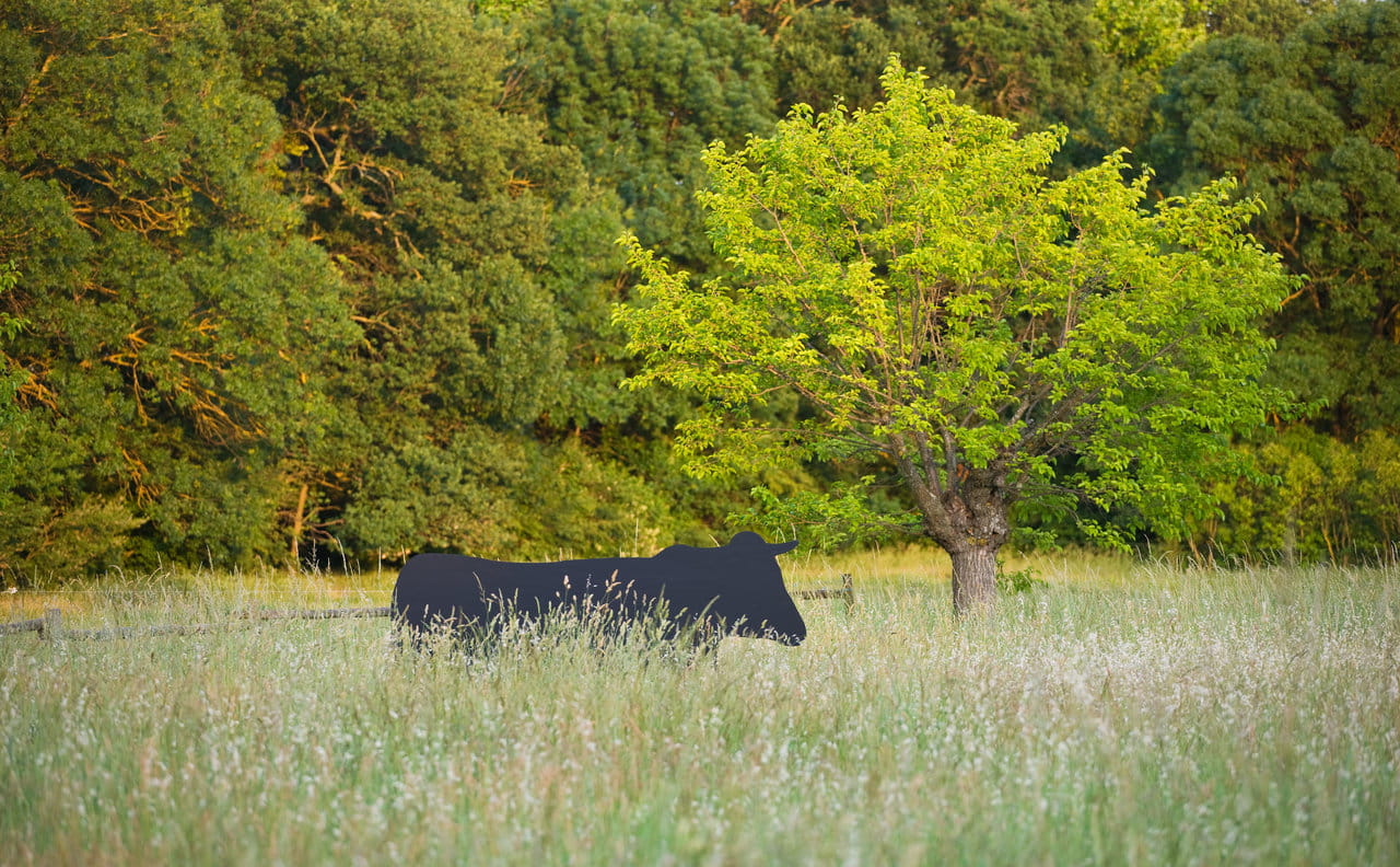 alexandre_lafourcade_architecture _confines_jardin_mas_alpilles_provence_014