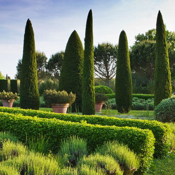 alexandre_lafourcade_architecture _confines_jardin_mas_alpilles_provence_015