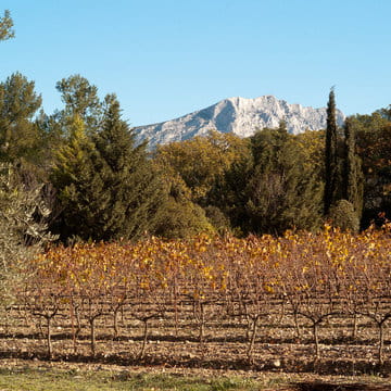 alexandre_lafourcade_architecture_chateau_cremade_cave_viticole_aix_provence_005