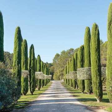 alexandre_lafourcade_architecture_chateau_berne_var_provence_008