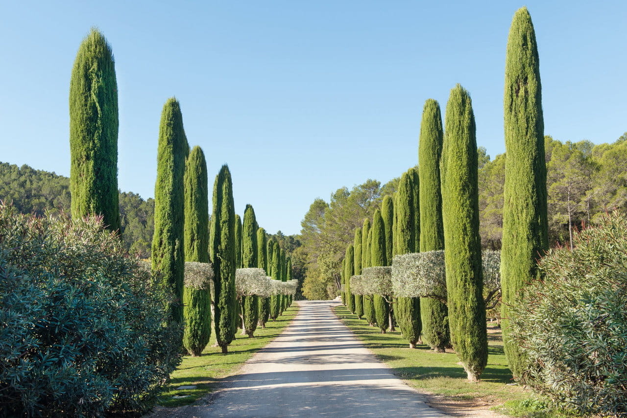 alexandre_lafourcade_architecture_chateau_berne_var_provence_008